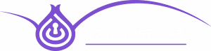 DeepOnionWeb Logo